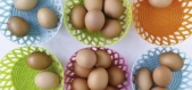 Eggs in a basket
